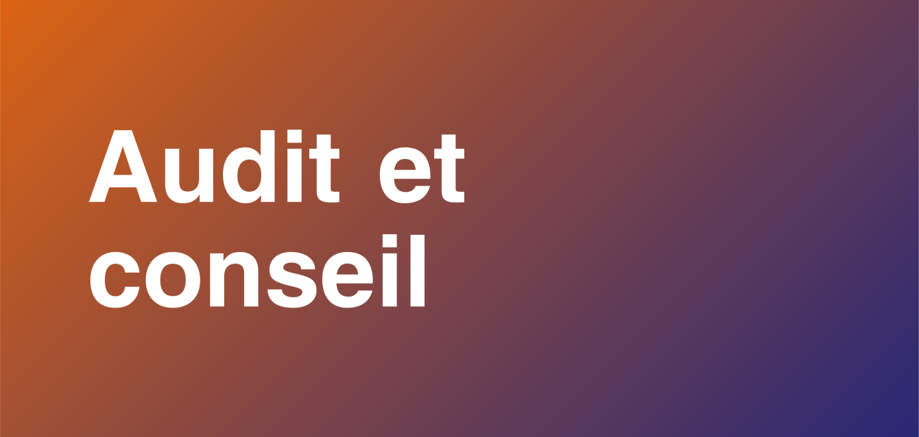 Services d’audit et conseil pour améliorer la performance et la conformité des entreprises