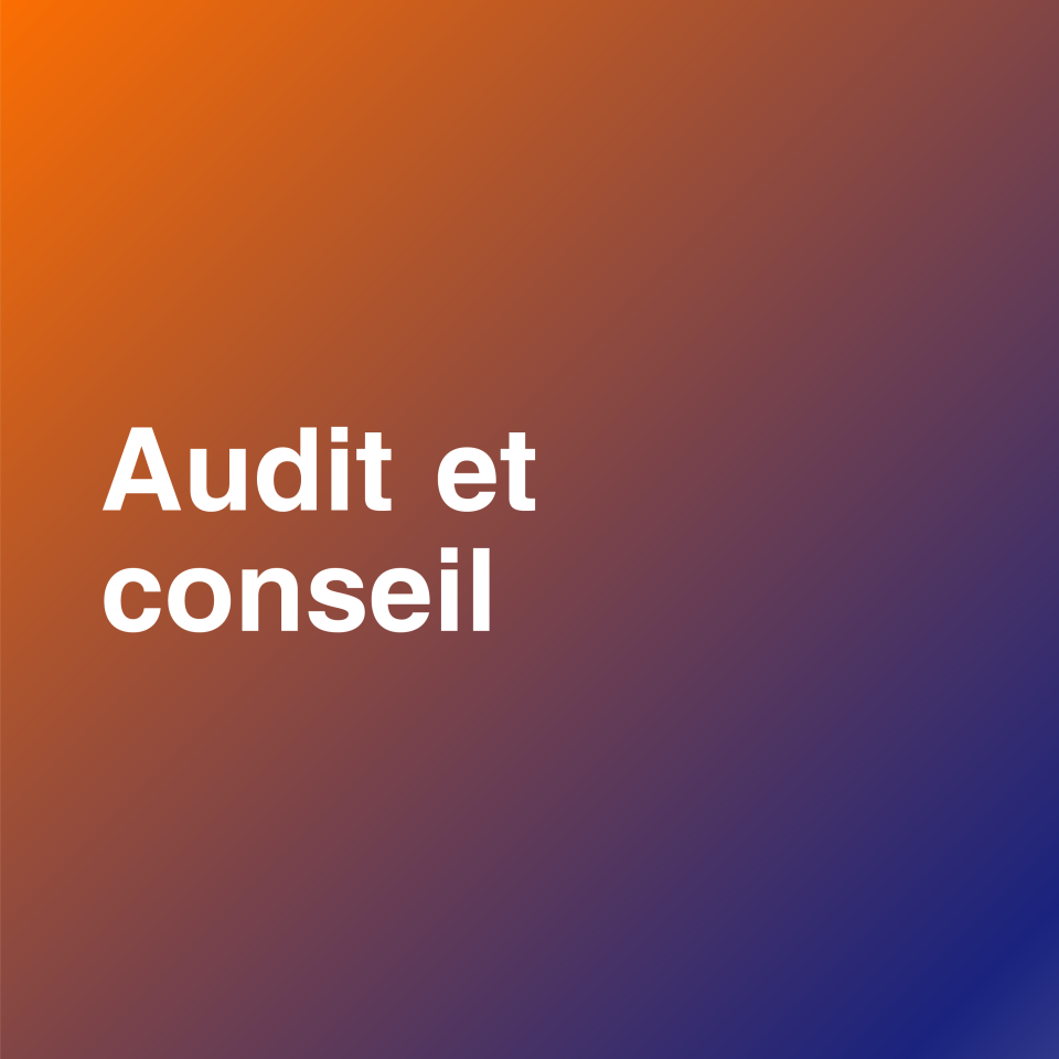 Services d’audit et conseil pour améliorer la performance et la conformité des entreprises