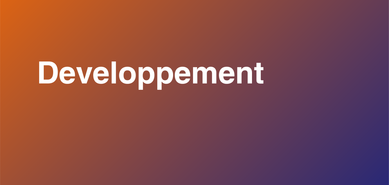 Développement de solutions logicielles sur mesure pour optimiser les processus métiers