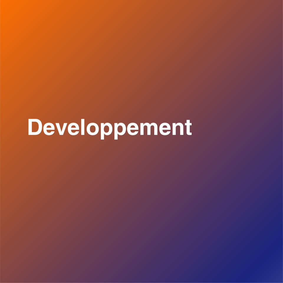 Développement de solutions logicielles sur mesure pour optimiser les processus métiers